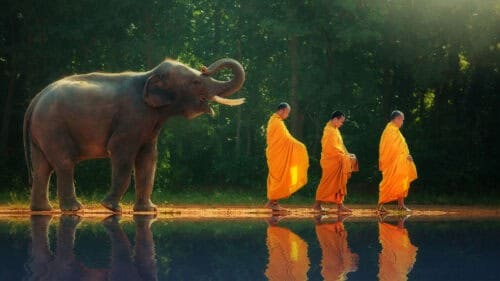Elephant walking behind monks, Thailand