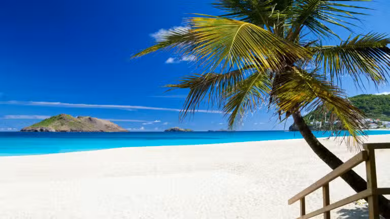 A sunny tropical beach with white sand, turquoise water, and a clear blue sky. A palm tree leans over the sand, and small green islands are visible in the distance. A wooden railing appears on the right.